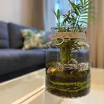 Apartament Urban Jungle!
